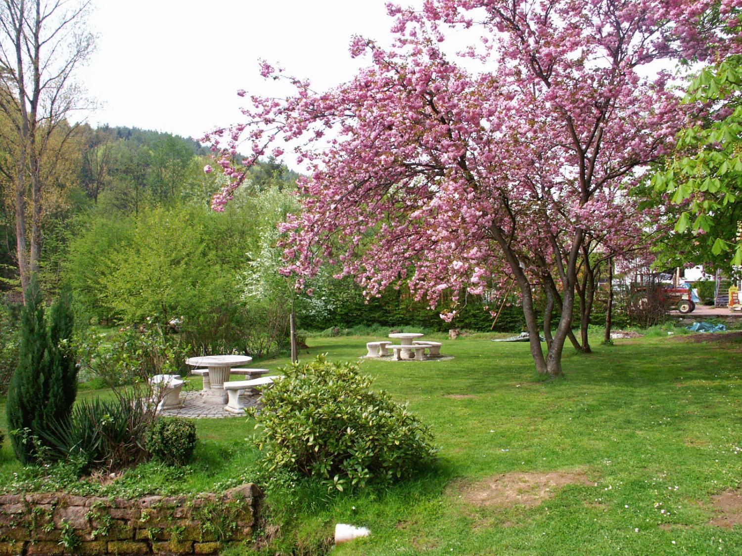 Hotel Zum Engel Mespelbrunn Luaran gambar